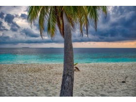 EPSTEIN I JEGO WYSPY SZCZĘŚLIWE