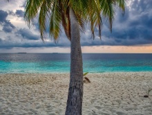 EPSTEIN I JEGO WYSPY SZCZĘŚLIWE